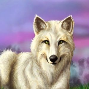 Meet your Posher, Tahirah